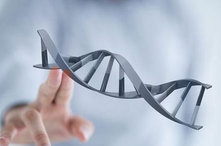 2026深圳试管助孕机构实力排名：前三甲机构全面揭晓，权威榜单新鲜出炉！