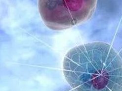 潮州试管婴儿医院哪家好？值得推荐的医院有四家