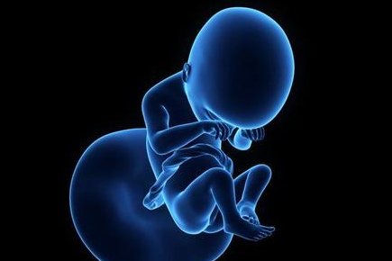 汕头大学医学院第一附属医院试管成功率多少？做一次试管要多少钱？